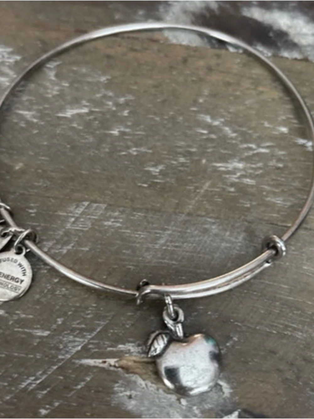 Alex and Ani Silver Apple Charm Bangle Bracelet